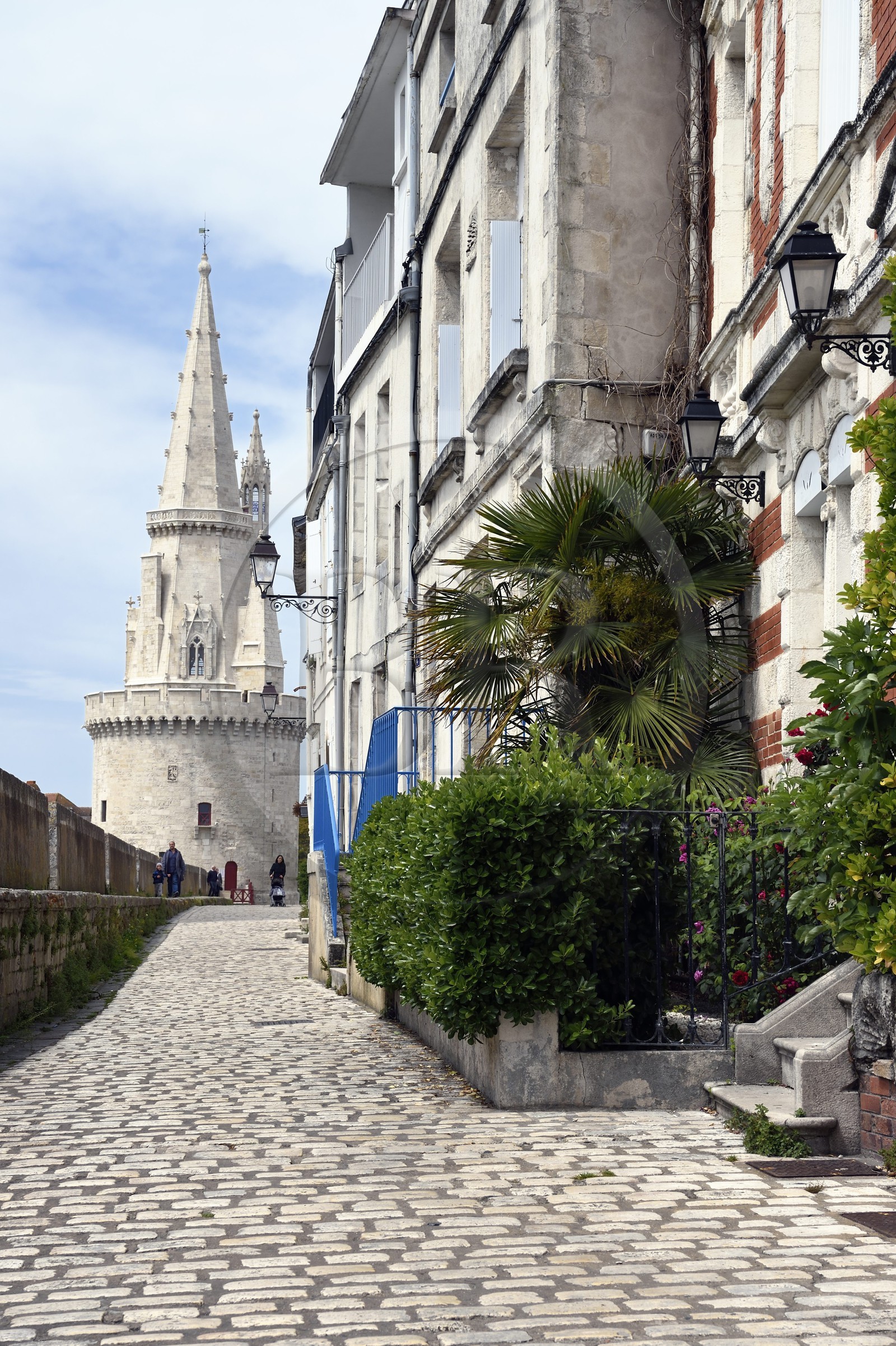 France, Charente-Maritime (17), La Rochelle, Vieux Port, la tour de la Lanterne et la rue Sur Les Murs