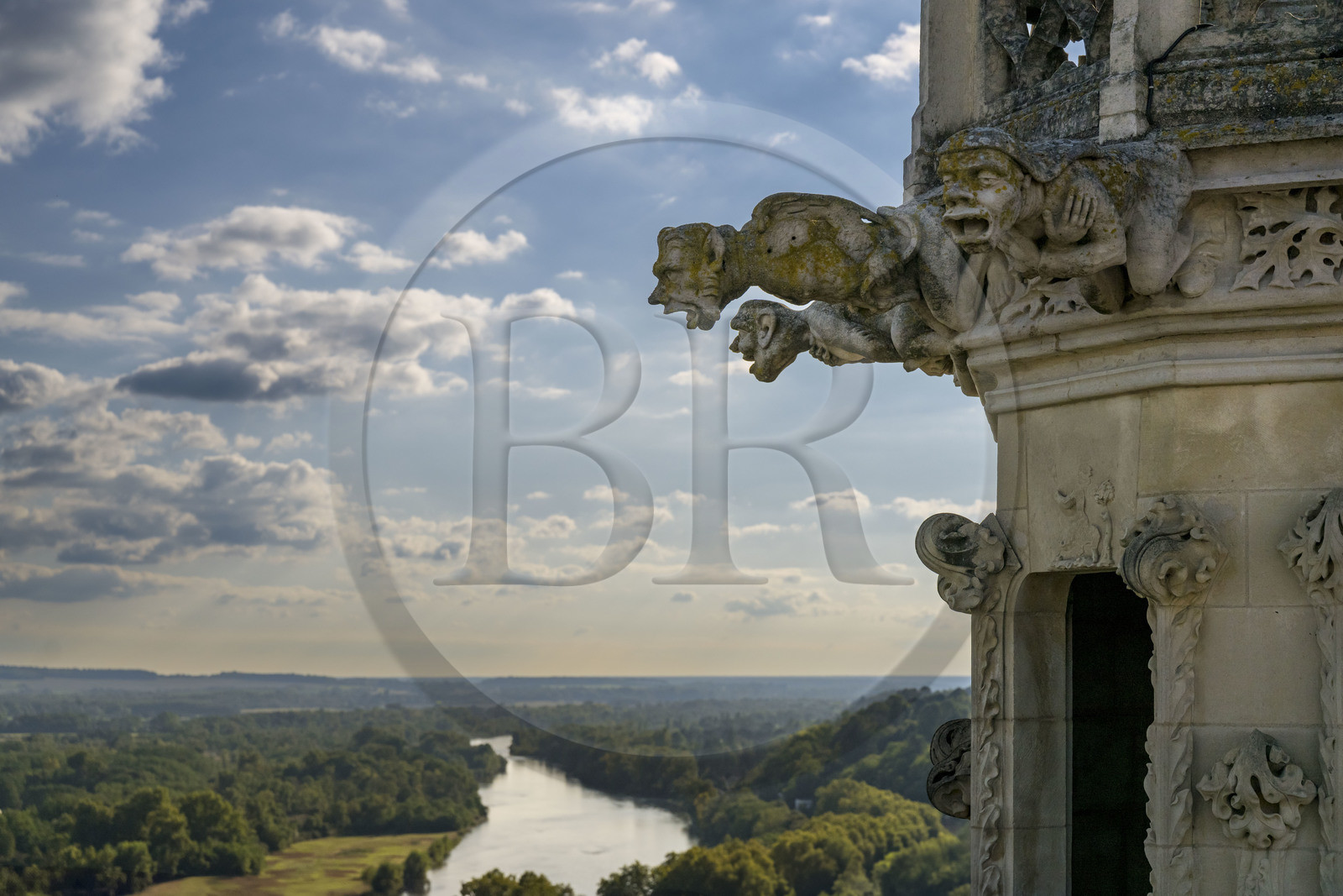 France, Nièvre (58), Nevers, cathédrale Saint-Cyr-et-Sainte-Julitte, gargouilles du XVIe siècle en haut de la tour Bohier et la Loire en arrière plan