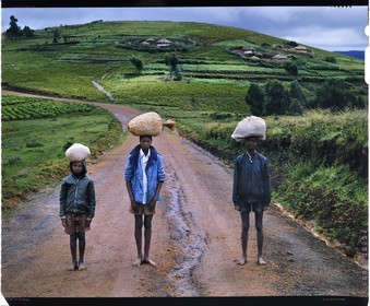 Burundi, province de Bujumbura, région d'Ijenda, Rugos sur les collines d'Ijenda, la structure de villages est un apport colonial et les burundais (dont la grande majorité de la population active est dans l'agriculture) vivaient jusqu'à très récemment dans un habitat familial appelé rugo le plus souvent installé à mi-pente des collines et au milieu de la propriété, il est adapté à l'élevage avec un espace consacré aux animaux et sa clôture ne servait pas seulement de protection mais aussi à une cohésion de la famille ainsi qu' au parcage du bétail pour la nuit (reproduction plan-film inversible 4x5)