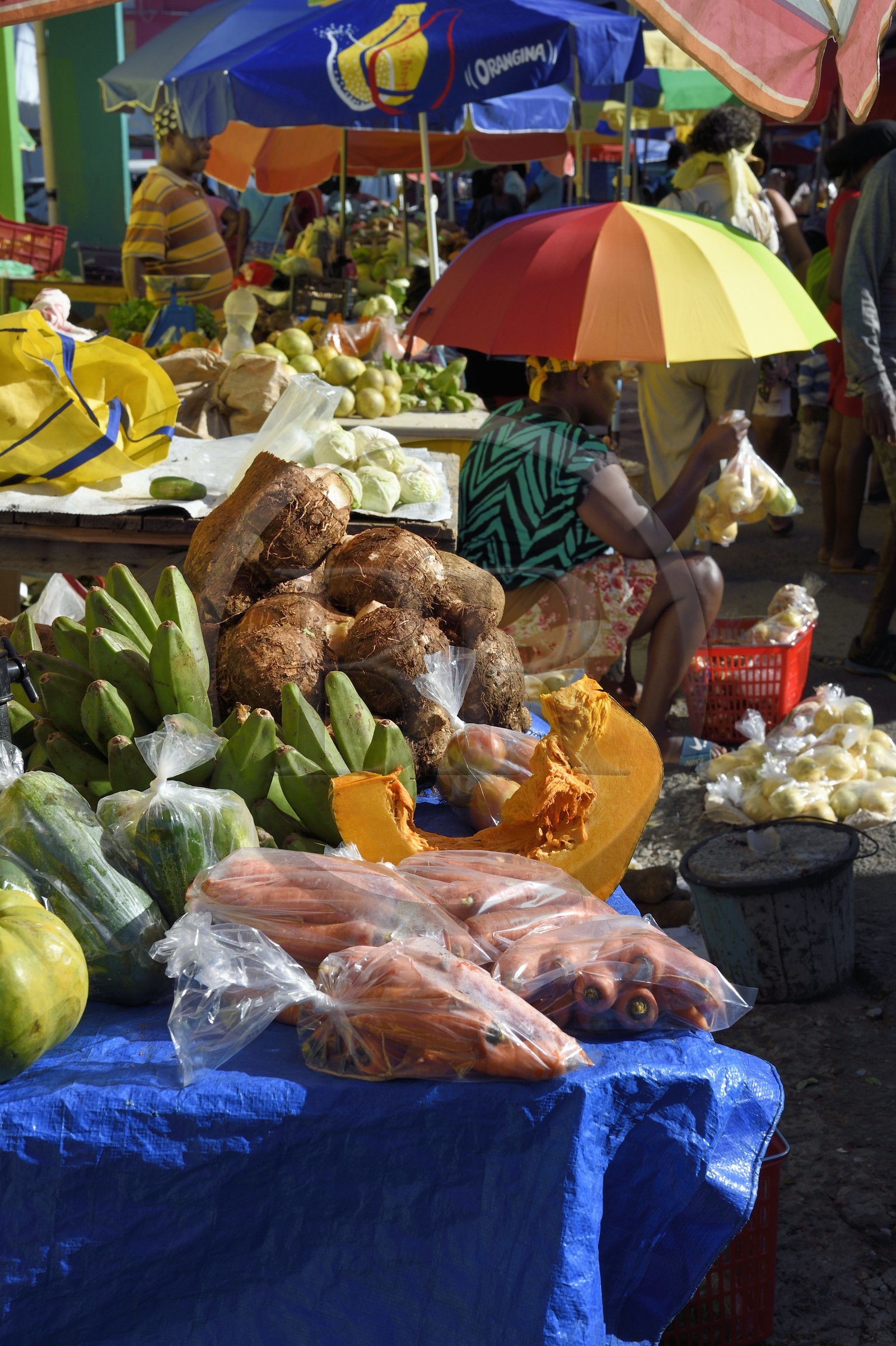 Caraïbes, Ile de la Dominique, la capitale Roseau, vente à l'étal de fruits et légumes aux abords du marché centrale