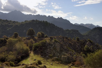 France, Corse-du-Sud (2A), Vallée du Prunelli, gorges du Prunelli