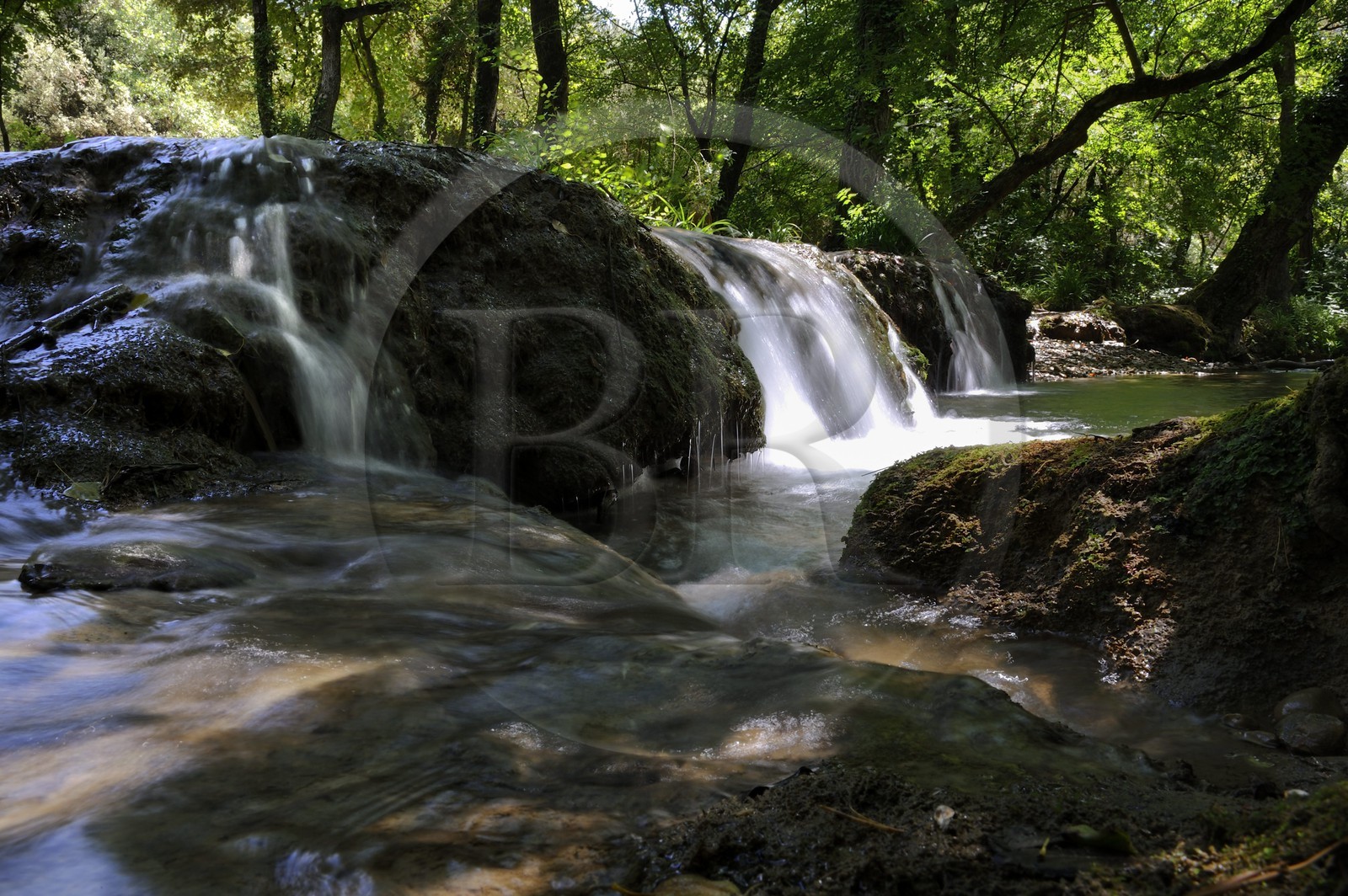 France, Var, Provence Verte, Tourves, the Caramy river in the Caramy Gorge