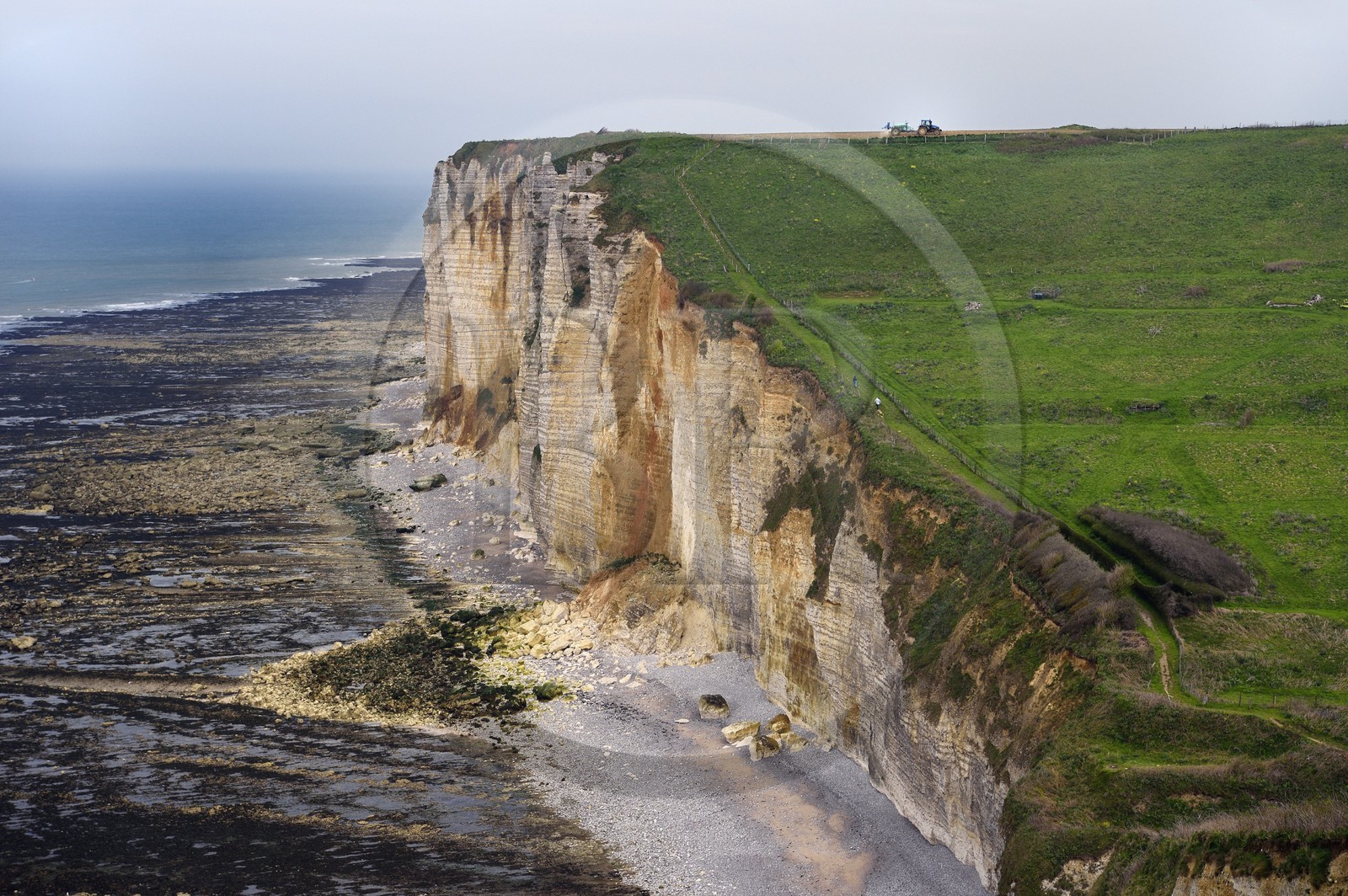 France, Seine-Maritime (76), Pays de Caux, Côte d'Albâtre, Bénouville entre Etretat et Yport, tracteur dans un champ surplombant la falaise, à marée basse
