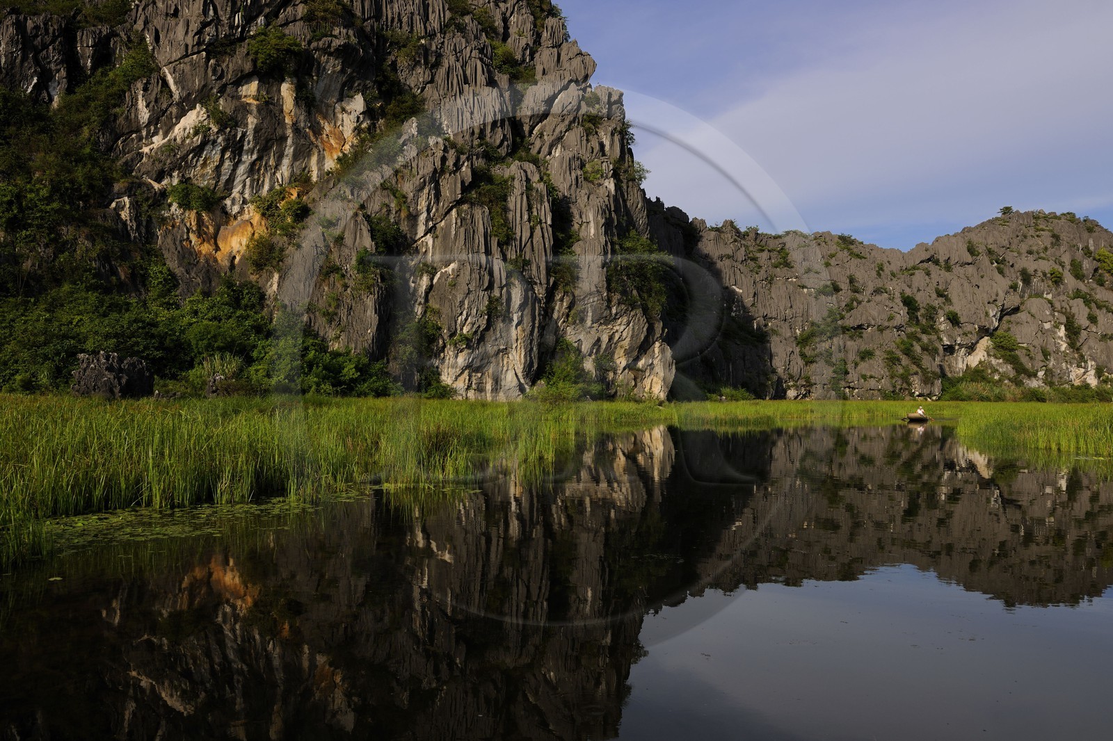 Vietnam, province de Ninh Binh, région surnommée la baie d'Halong terrestre, réserve naturelle de Van Long et ses paysages karstiques