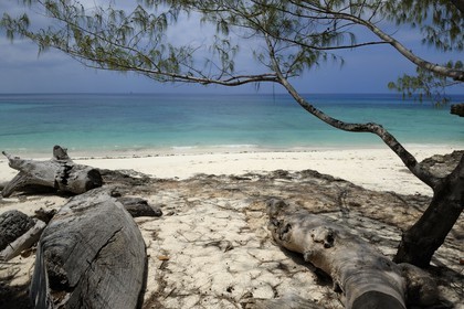 Tanzanie, archipel de Zanzibar, île de Unguja (Zanzibar), côte ouest, plage de la réserve naturelle de Chumbe Island Coral Park à marée basse