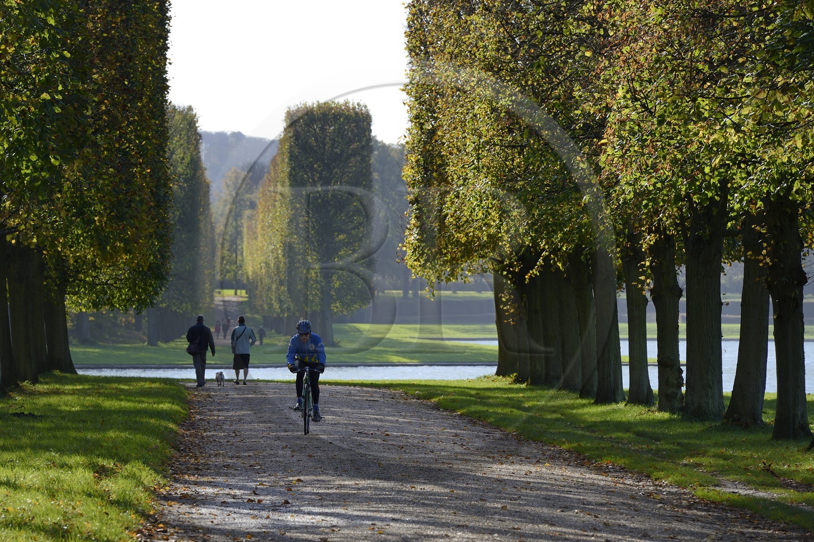 France, Yvelines (78), parc du château de Versailles, classé Patrimoine Mondial de l'UNESCO, promeneurs dans l'allée menant au Grand Canal