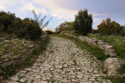 France, Hérault (34), près de Lunel, Oppidum d'Ambrussum ancien oppidum gaulois situé sur la Voie Domitienne (Via Domitia), rue pavée usées par le passage des chariots
