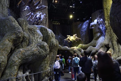 United Kingdom, Hertfordshire, Leavesden, Leavesden Film Studios, Harry Potter Studio Tour London, the scene of the eight Harry Potter movies' making of, the giant Aragog spiders in the mythical Forbidden Forest