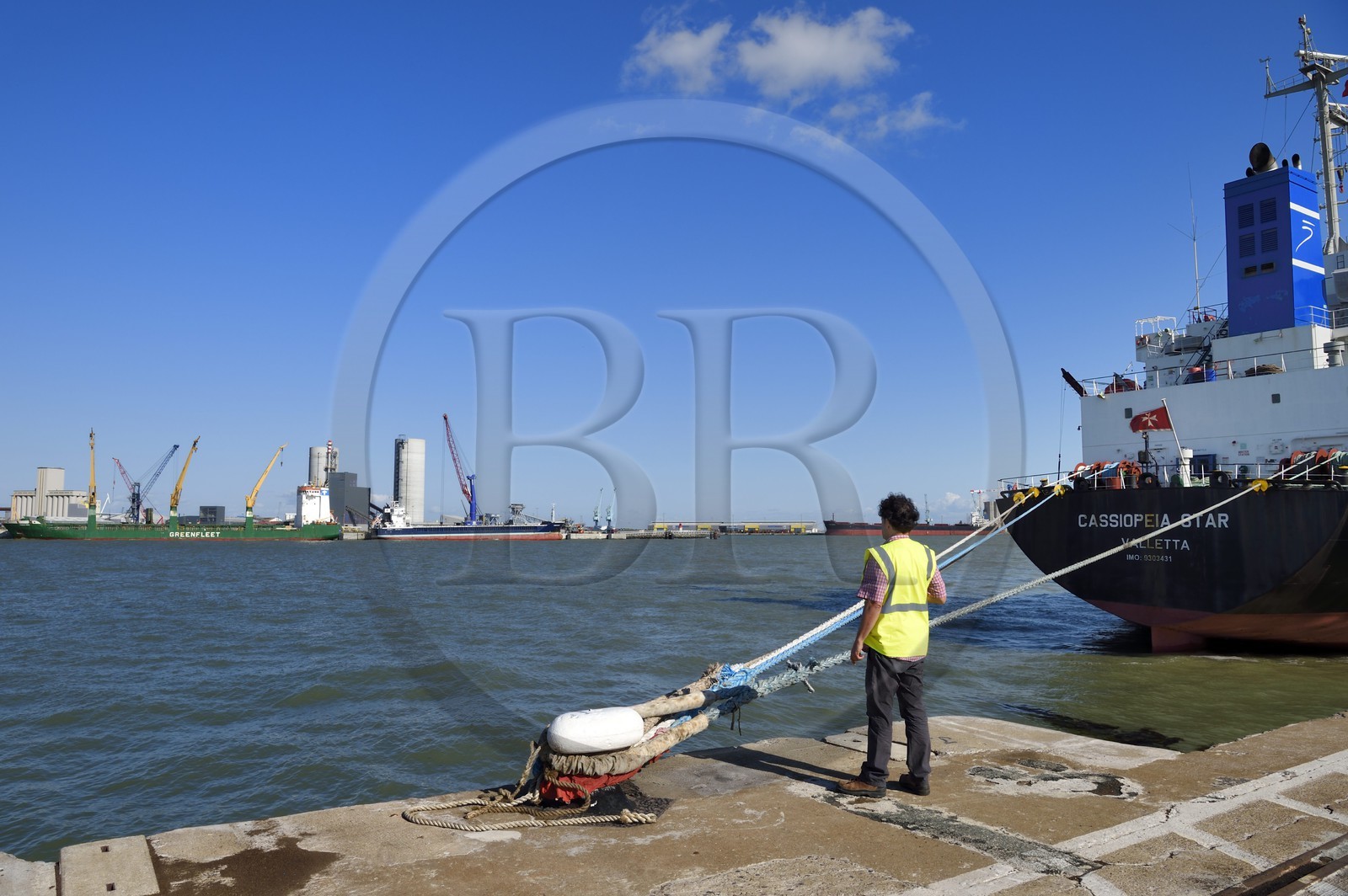 France, Charente-Maritime, La Rochelle, the Port Atlantique La Rochelle, the trade port, docks depending from Sica Atlantique company