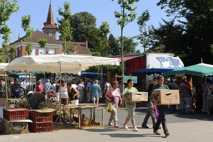 France, Saône et Loire (71), Louhans, le marché à la volaille du lundi