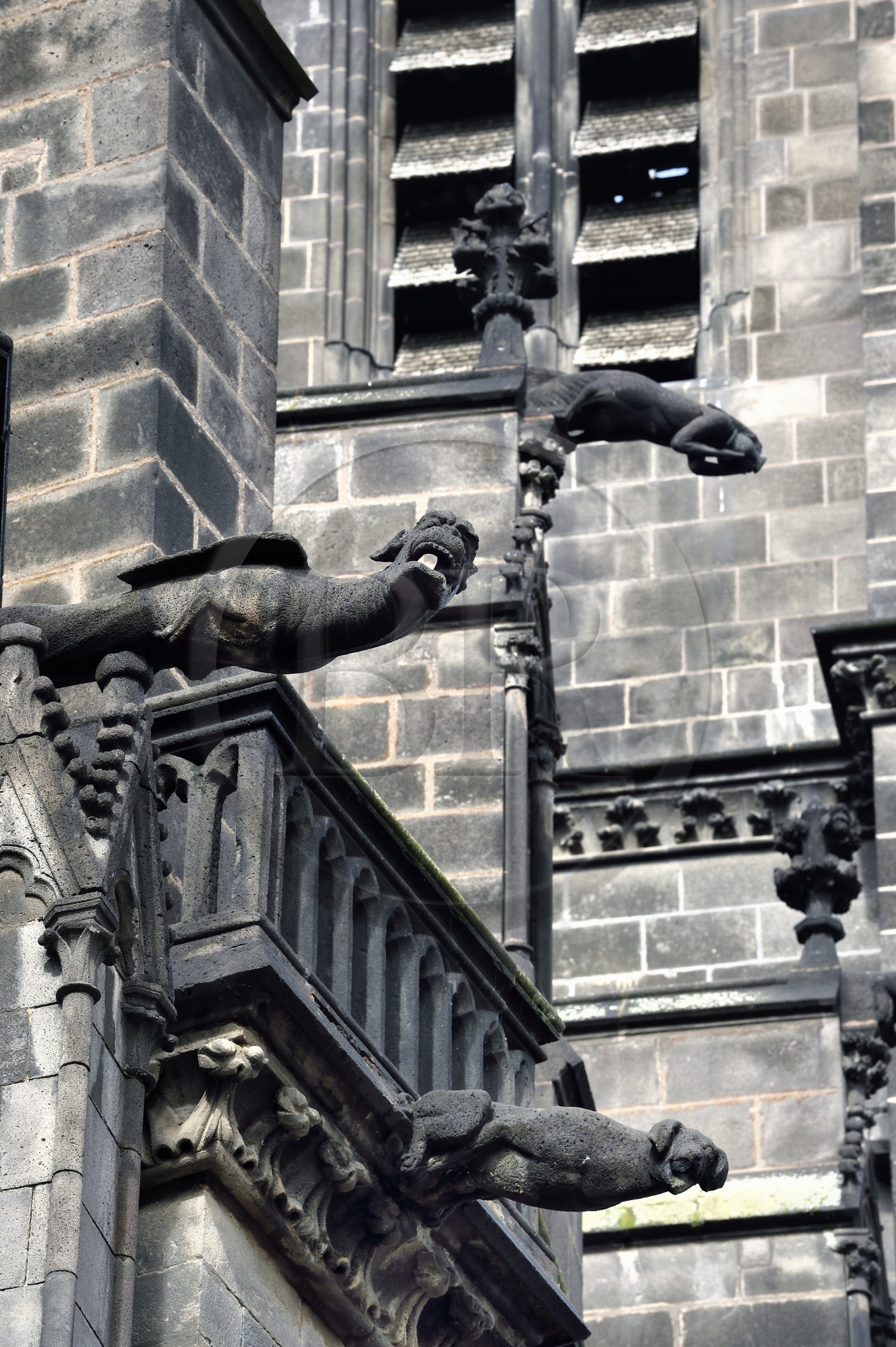 France, Puy-de-Dôme (63), Clermont-Ferrand, cathédrale Notre-Dame de l'Assomption du XIIIe siècle, gargouilles