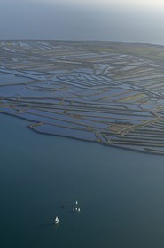 France, Charente-Maritime (17), ile de Ré, Fier d'Ars (vue aérienne)