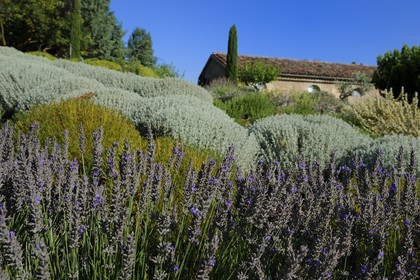 France, Var (83), Provence Verte, Bras, vers Saint-Maximin-la-Sainte-Baume, la maison d'hôtes Le Peyrourier, une campagne en Provence
