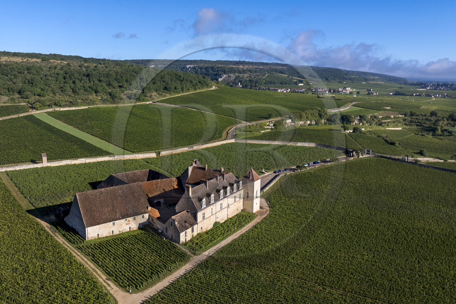 France, Côte-d'Or (21), Paysage culturel des climats de Bourgogne classés Patrimoine Mondial de l'UNESCO, Route des Grands Crus, vignoble de la Côte de Nuits, Vougeot, le Chateau du Clos de Vougeot entouré par le vignoble (vue aérienne)
