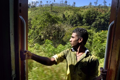 Sri Lanka, Province d'Uva, trajet en train dans la région montagneuse de la culture du thé entre Badulla et Ella, passager accroché aux portières