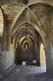 Israël, district d'Haifa, Césarée (Caesarea Maritima), ruines de Césarée, porte des remparts de la citadelle des croisés