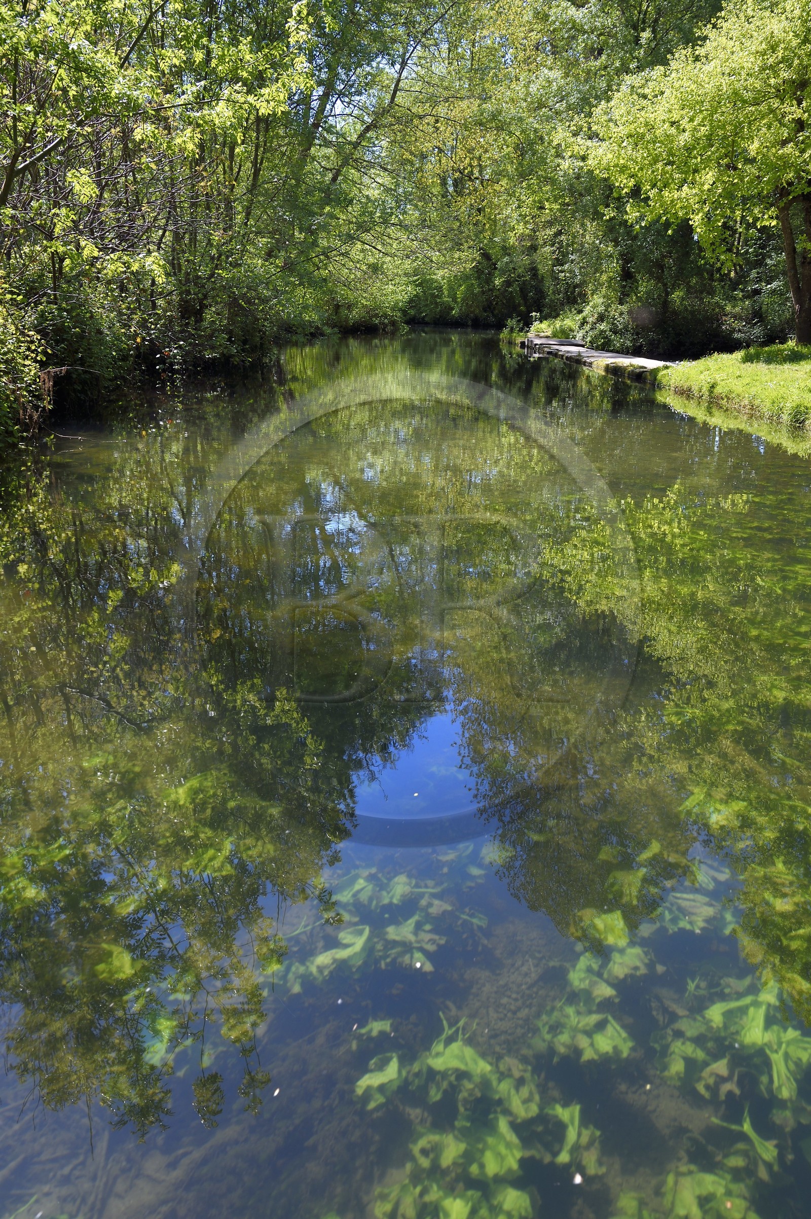 France, Charente (16), Bassac, la Guirlande creusé par les moines au XIème siècle, un affluent de la Charente