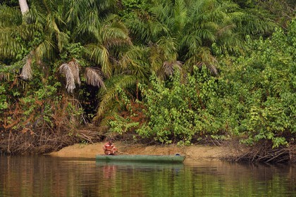 Gabon, province de Ogooué- Maritime, une des nombreuses rivières de la lagune du Fernan Vaz (Nkomi)