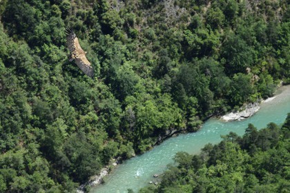 France, Alpes-de-Haute-Provence (04), Parc Naturel Régional du Verdon, Grand Canyon du Verdon, La-Palud-Sur-Verdon, point de vue de la Dent d’Aire, Vautour fauve (Gyps fulvus) en vol