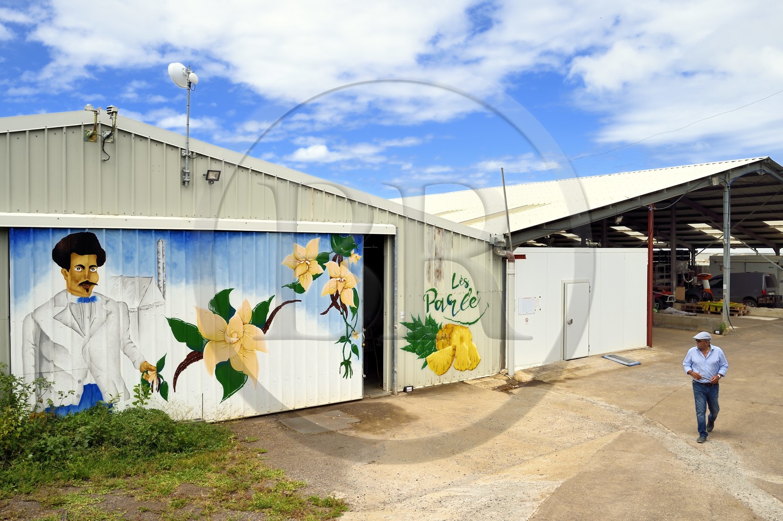 France, Ile de la Reunion, Saint-Louis, Domaine de Bellevue, producteur de vanille biologique cultivée sous des panneaux photovoltaïques, le batiment de production France, Reunion island (French overseas department), Saint Louis, Domaine de Bellevue, producer of organic vanilla grown under photovoltaic panels, the production building