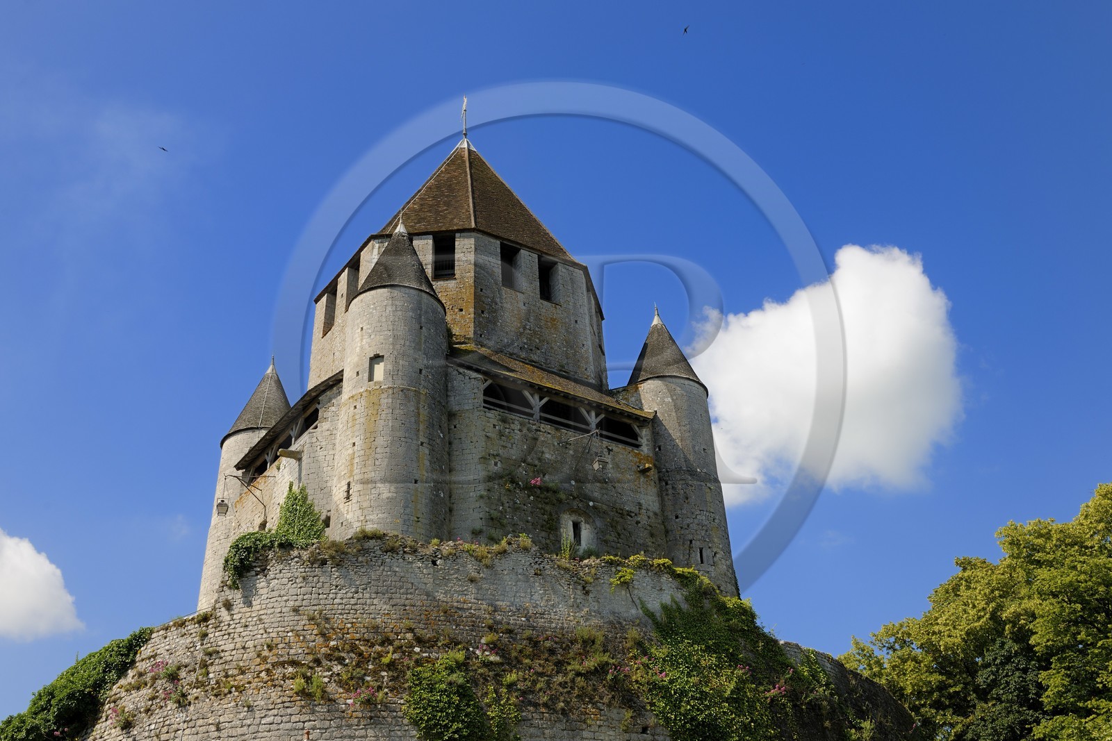 France, Seine et Marne (77), Provins, classée Patrimoine Mondial de l'UNESCO, la Tour César