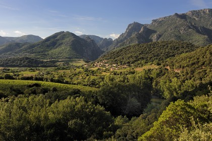 France, Herault, Orb river valley in the region of Mons la Trivalle, AOC Saint-Chinian & Roquebrun
