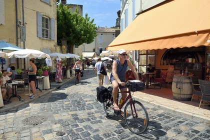 France, Vaucluse, Parc Naturel Regional du Luberon (Natural Regional Park of Luberon), Lourmarin, labelled Les Plus Beaux Villages de France (The Most Beautiful Villages of France),