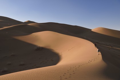 Iran, Province de Yazd, désert du Dasht-e Kavir, Moghestan, randonnée dans le massif dunaire dont la plus haute dune atteint les 200 mètres