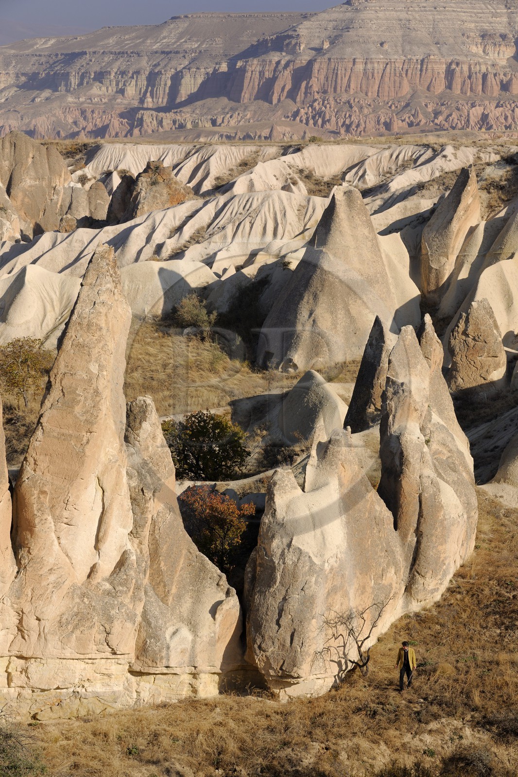 Turquie, Anatolie Centrale, province de Nevsehir, Cappadoce classée Patrimoine Mondial de l'UNESCO, phénomènes d'érosions aux environs de Göreme