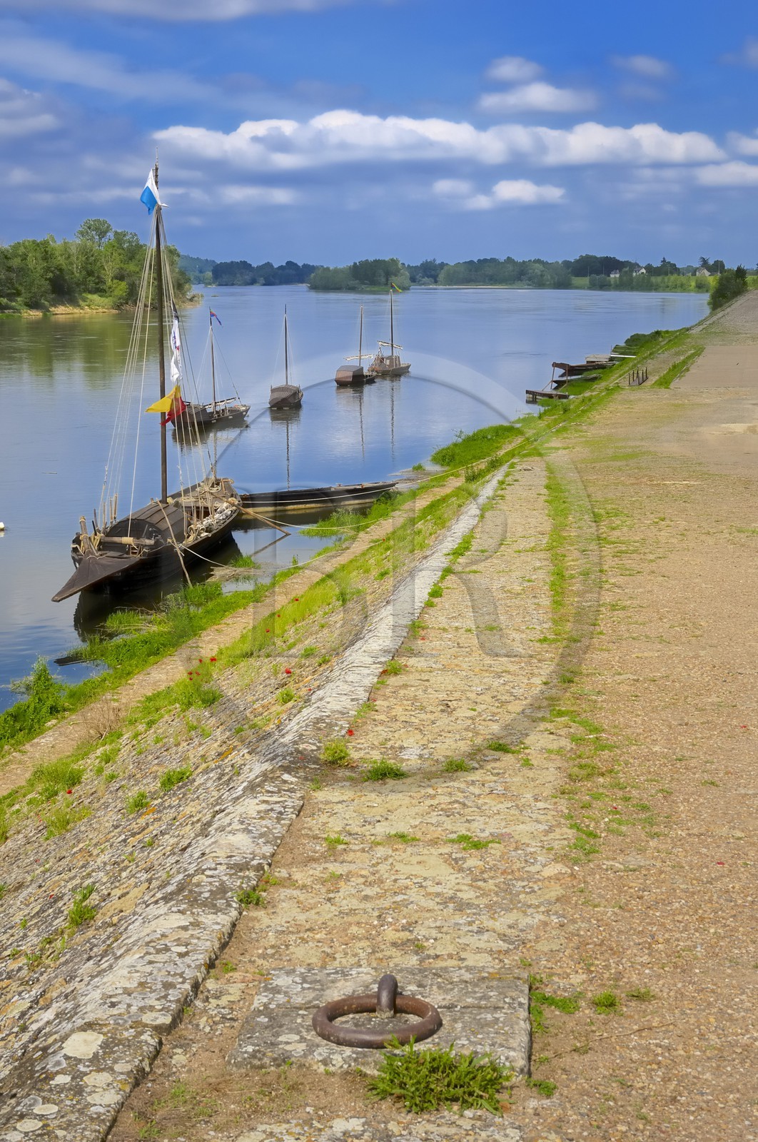 France, Indre et Loire, Loire Valley listed as World Heritage by UNESCO, edges of the Loire river in Brehemont port
