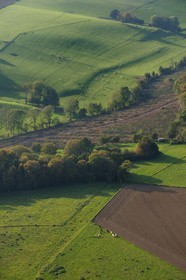 France, Seine-Maritime (76), Sainte-Foy, la campagne à l'automne (vue aérienne)