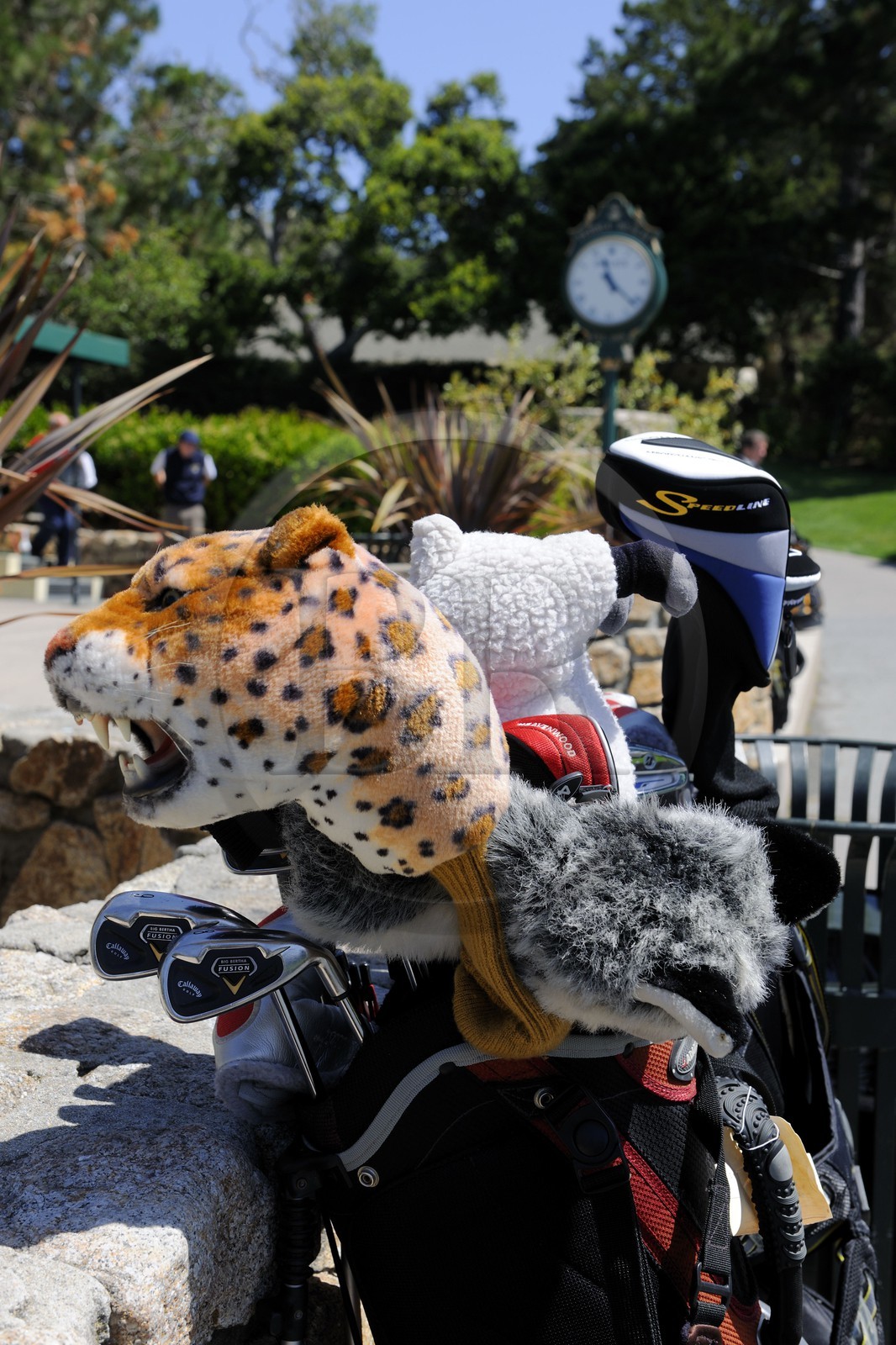 Etats-Unis, Californie, 17 mile drive, golf de Peeble Beach