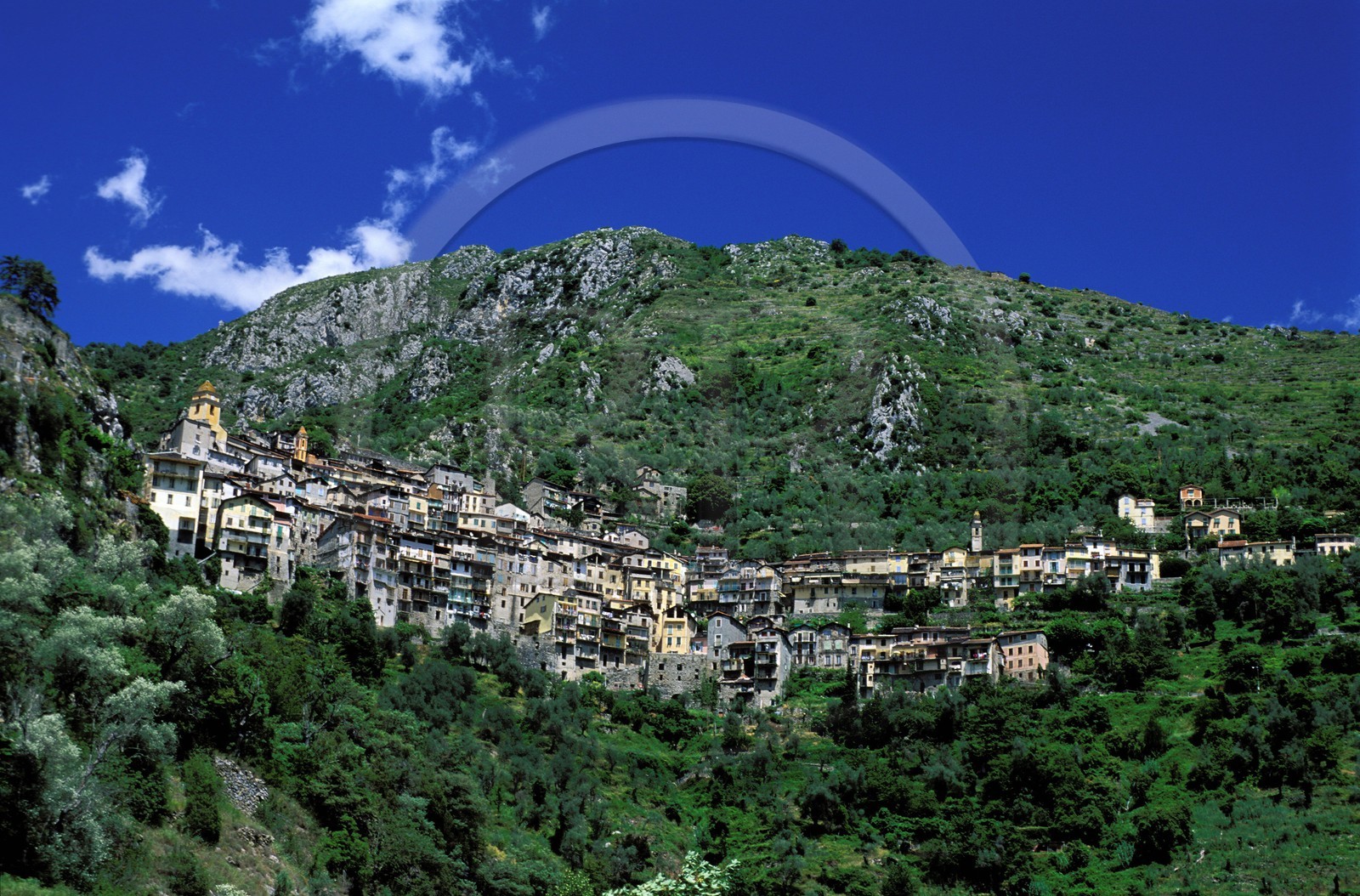 France, Alpes-Maritimes (06), vallée de la Roya, village perché de Saorge