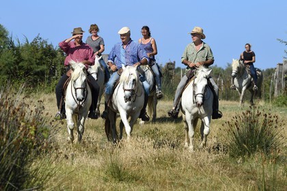 France, Bouches-du-Rhône (13), Parc naturel régional de Camargue, manade Jacques Mailhan, gardian à cheval