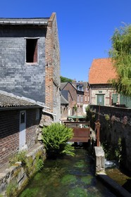 France, Seine-Maritime (76), le village de Veules-les-Roses est traversé par la Veules fleuve célèbre pour la faible longueur de son cours (1 100 m), le moulin du marché