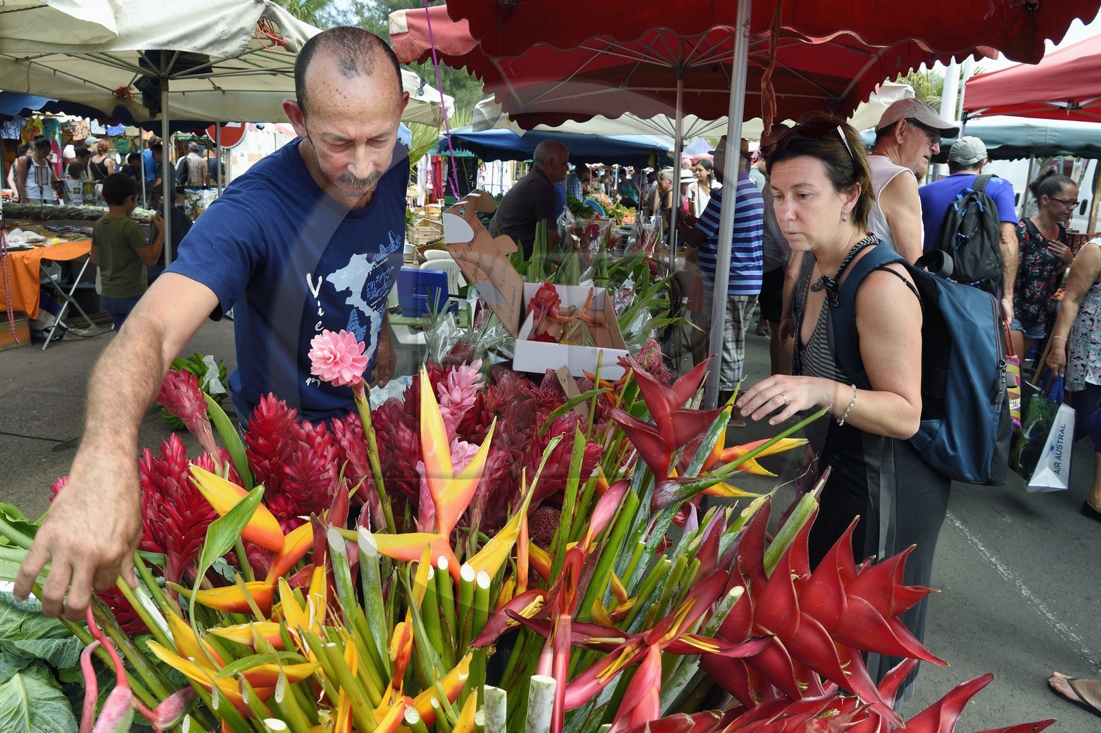 France, Ile de la Reunion, Saint-Pierre, le marché du samedi, étal de fleuriste, heliconias et roses de porcelaine (Etlingera elatior)