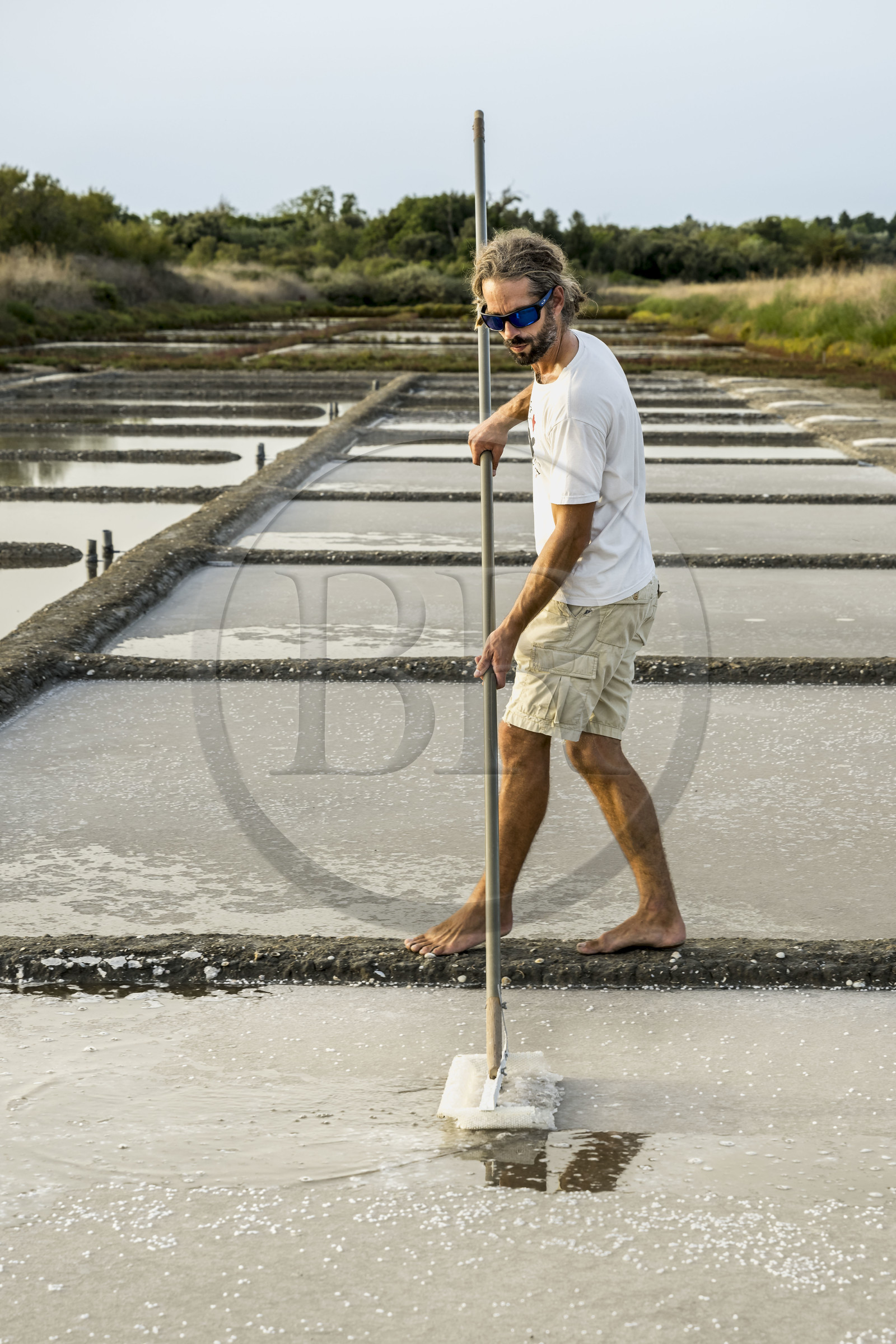 France, Charente-Maritime (17), Ile d'Oléron, Saint-Georges-d'Oléron, cueillette artisanale de la fleur de sel avec une lousse à fleur par le saunier Samuel Barbereau