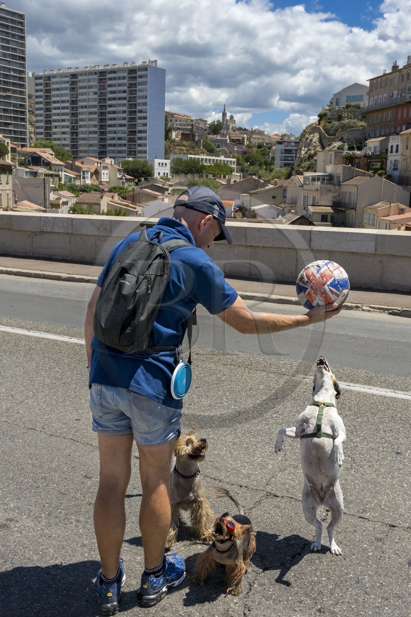 France, Bouches-du-Rhône (13), Marseille, quartier d'Endoume, pont du Vallon des Auffes, la Corniche du Président John Fitzgerald Kennedy piétonne un dimanche par mois au premier plan