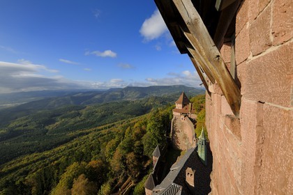France, Bas Rhin, Orschwiller, Alsace Wine Road, Haut Koenigsbourg Castle, the great Bastion overlooking the forest around