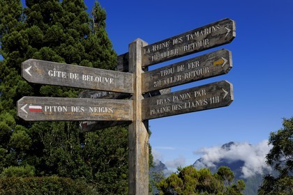France, île de la Réunion, forêt de Bélouve, panneaux indicateurs des randonnées au gîte de Bélouve
