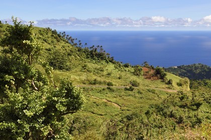 Caraïbes, Ile de la Dominique, côte nord de l'île vers le village de Pennville