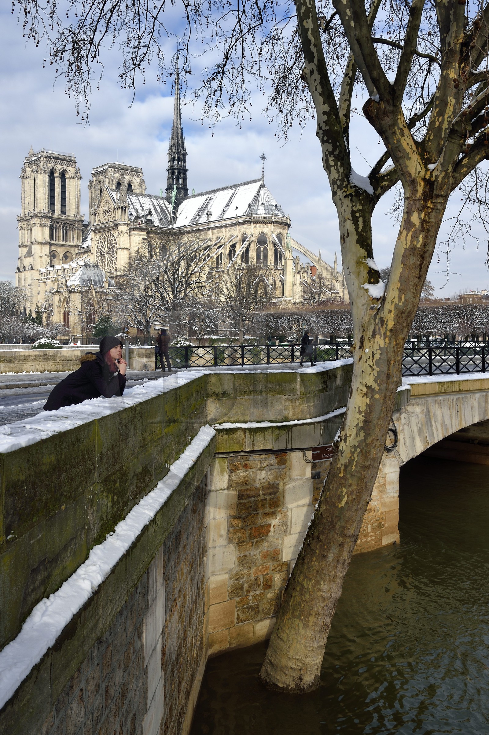 France, Paris (75), les rives de la Seine, classées Patrimoine Mondial de l'UNESCO, la Seine en crue au pont de l'Archevêché et la Cathédrale Notre-Dame sous la neige sur l'Ile de la Cité