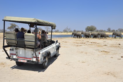 Zimbabwe, province de Matabeleland septentrional, parc national Hwange, touristes en 4x4 observant un troupeau de éléphants sauvages d'Afrique (Loxodonta africana) autour d'un point d'eau dans la savane