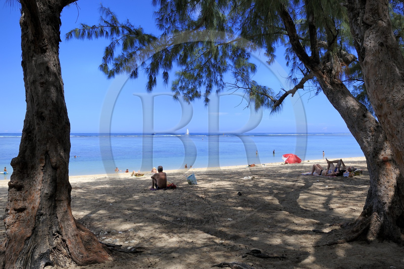 France, Ile de la Reunion, Cote Ouest, Etang-Salé les bains, l'arrière-plage est boisée de filaos