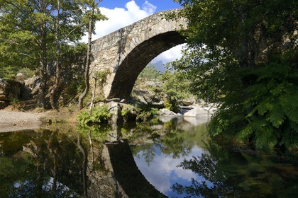 France, Haute-Corse (2B), région du Niolu (Niolo), pont génois de Murricciolu sur la rivière Calasima