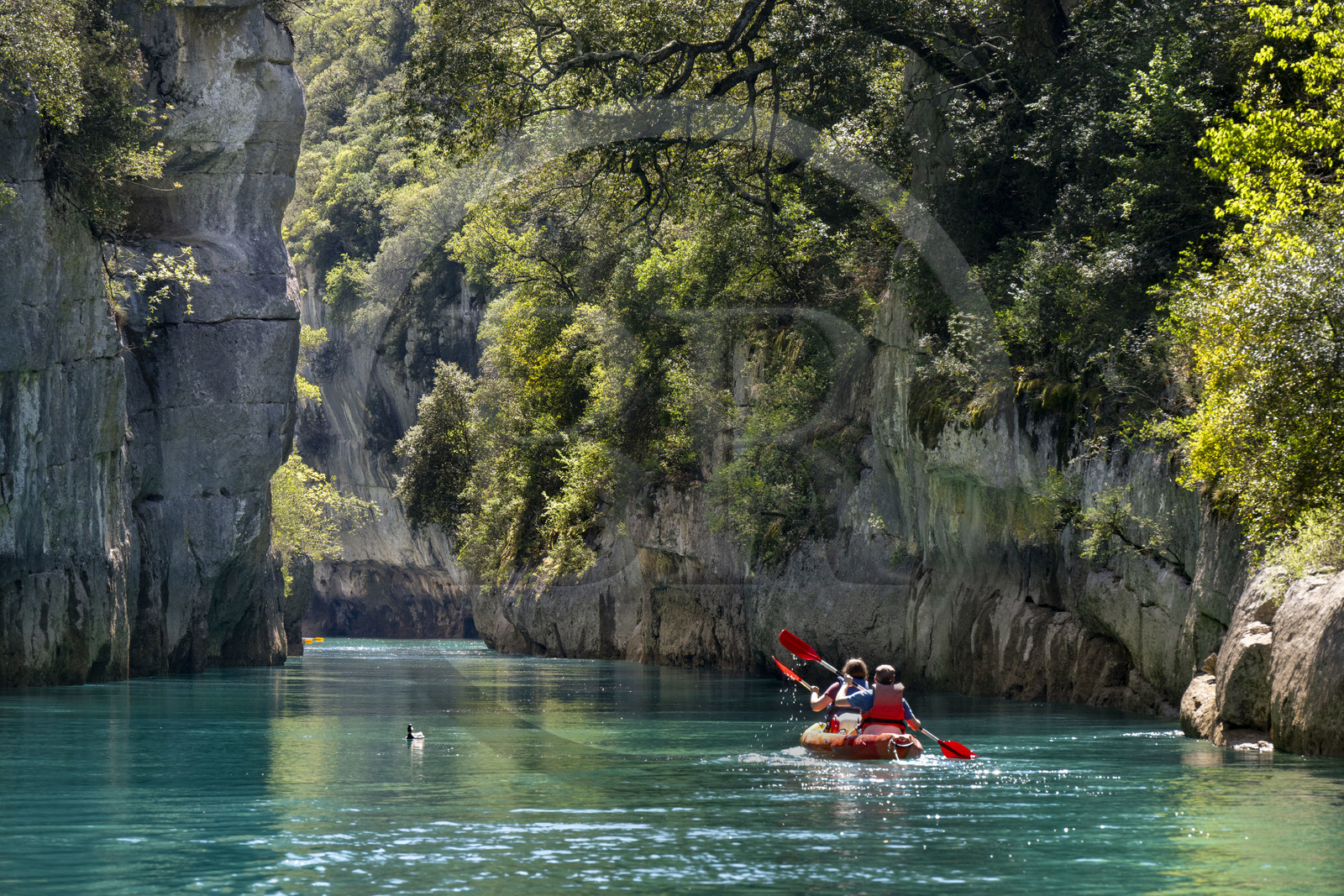 Var (83) rive gauche et Alpes-de-Haute-Provence (04) rive droite, Parc Naturel Régional du Verdon, Basses Gorges du Verdon en aval du lac de Sainte Croix, découverte en kayak des gorges de Baudinard