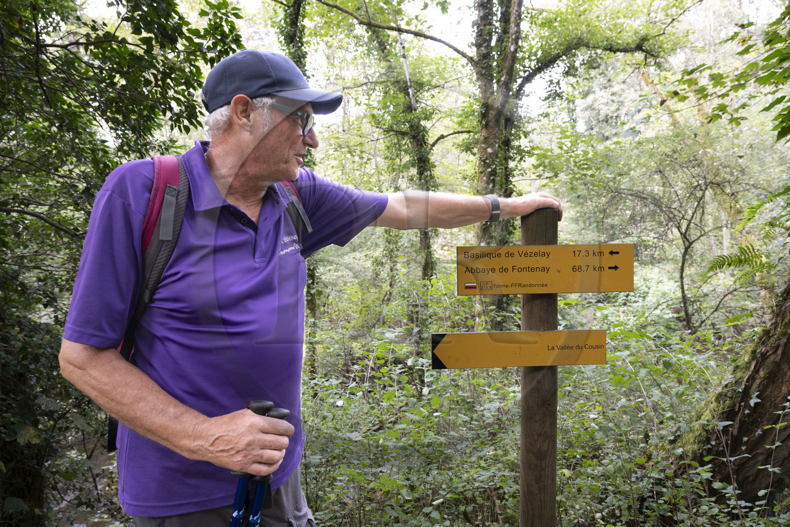 France, Yonne (89), la vallée de la rivière Cousin entre Pontaubert et Avallon, Hervé Desruelles, agriculteur retraité et responsable du club de randonnée Terre de Légendes, passant devant le panneau du GR 213 de Vézelay à l'Abbaye de Fontenay