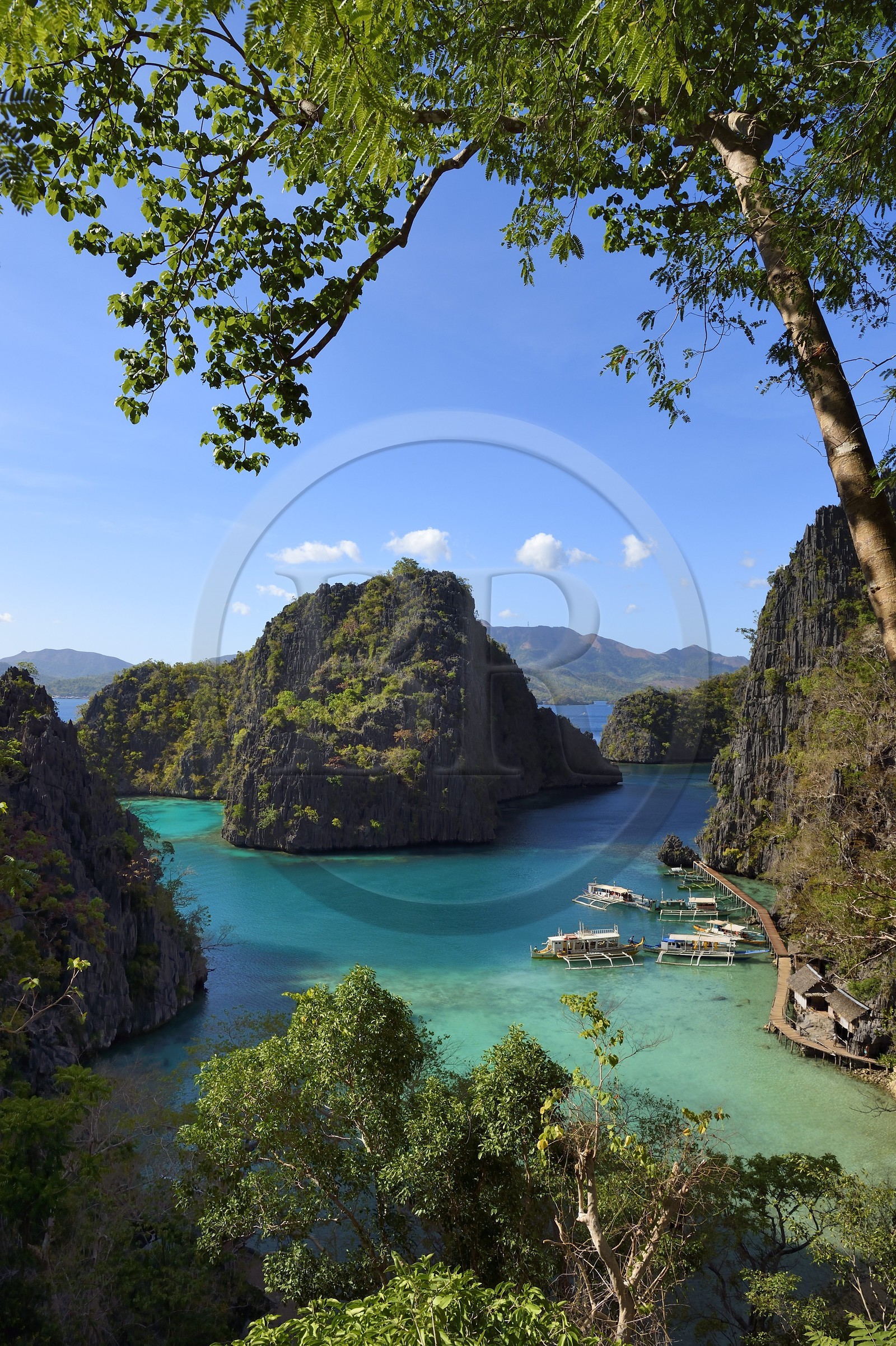Philippines, Calamian Islands in northern Palawan, Coron Island Natural Biotic Area, lagoon on the way to Kayangan Lake, steep cliffs and Karst rock formations made of Permian limestone