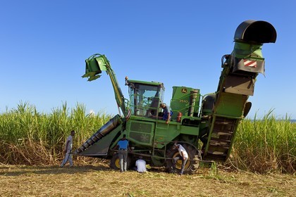 France, Ile de la Reunion, Saint-Louis, récolte mécanique avec une moissonneuse de canne à sucre dans un champ de canne à sucre