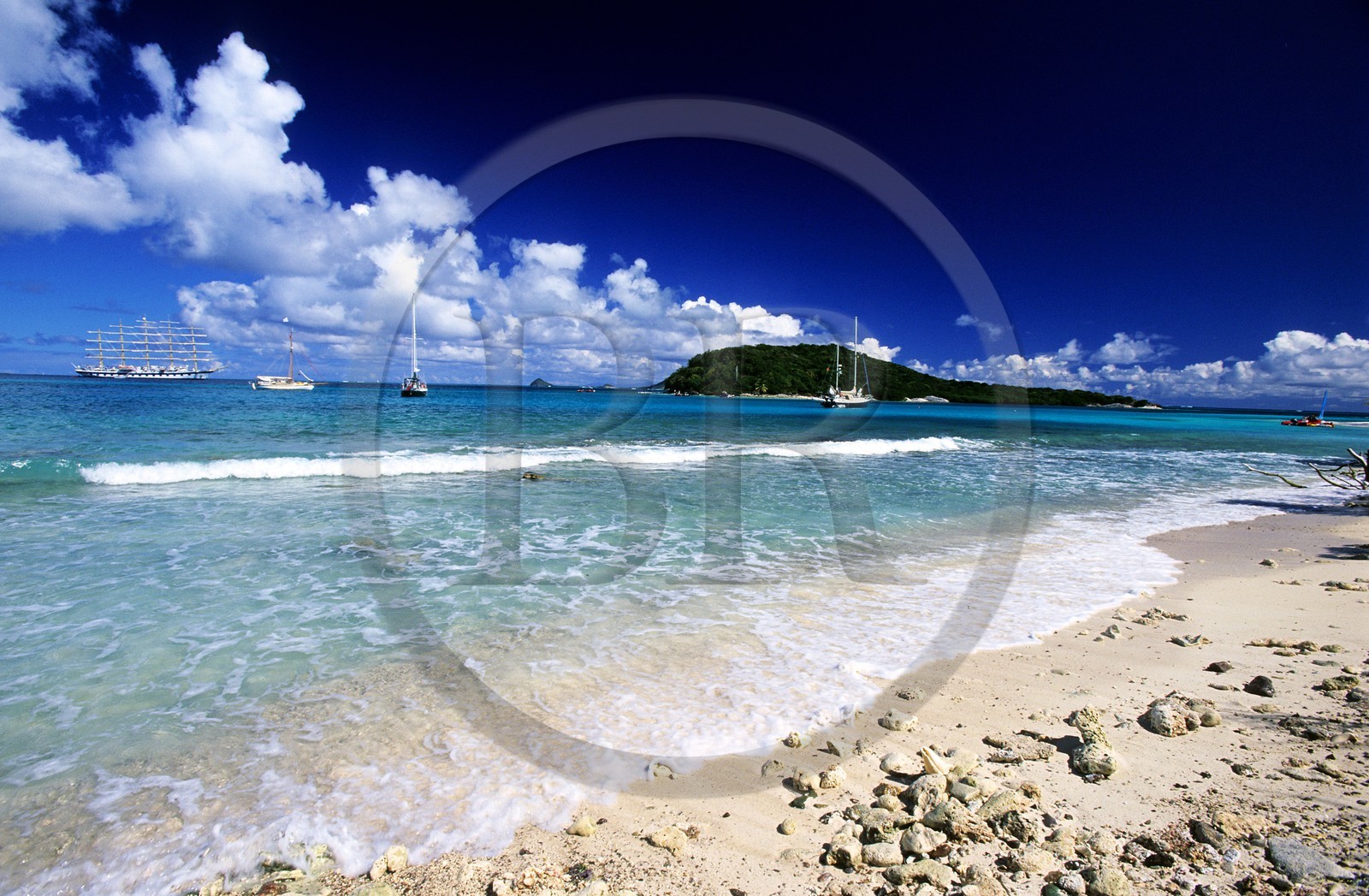 Caraïbes, Saint-Vincent et les Grenadines, archipel des Tobago Cays, plage d'une petite île inhabitée